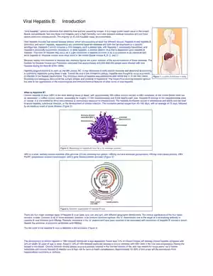 Viral Hepatitis B PDF