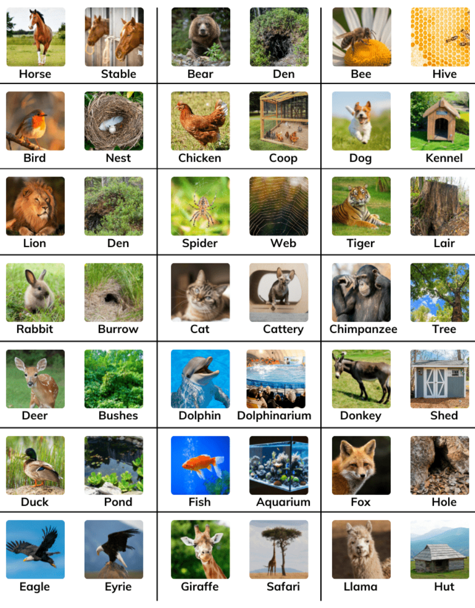 List of Animals and their Homes PDF